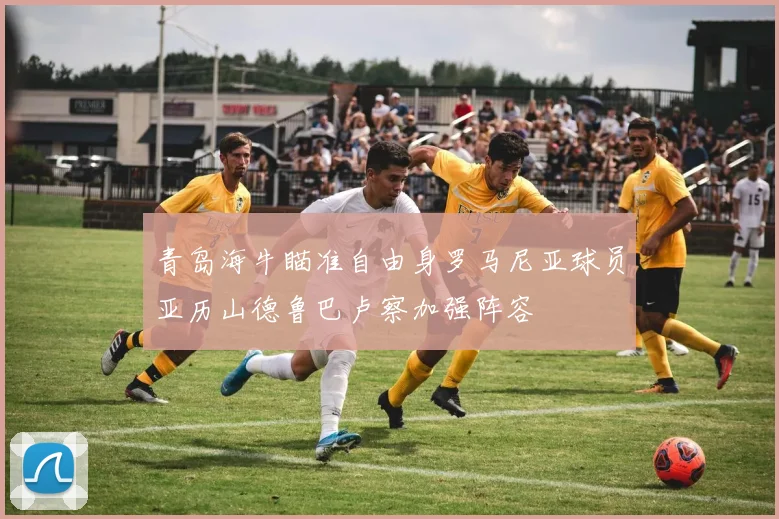 青岛海牛瞄准自由身罗马尼亚球员亚历山德鲁巴卢察加强阵容